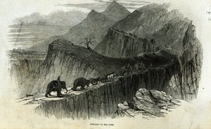 1846年8月15日の「The Illustrated London News」からの銃の持ち込み 作： English School